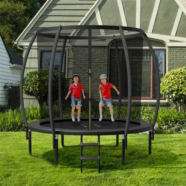 10FT Trampoline ASTM Approved Outdoor Recreational Trampoline with Safety Enclosure Net & Ladder for Kids Adults