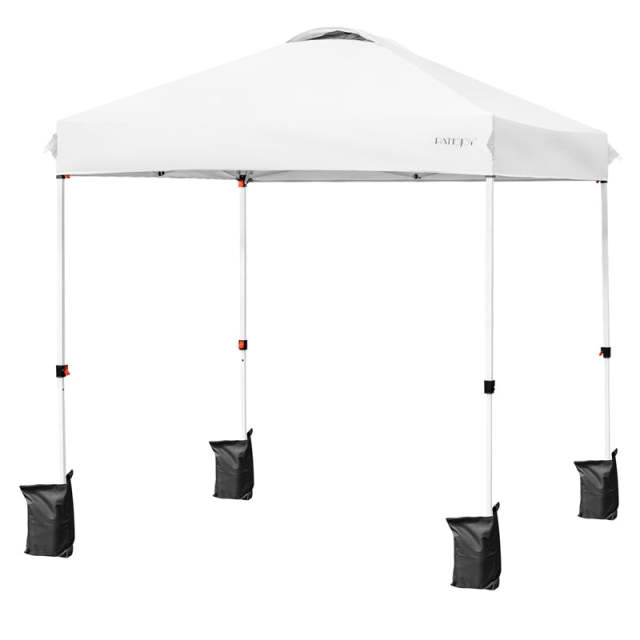 6.6x6.6FT Outdoor Pop-up Canopy Tent with Height Adjustable, Roller Bag & Weight Bags, Commercial Instant Canopy Sun Shelter for Camping, Party