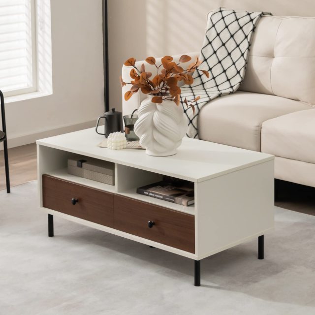 Modern Coffee Table with Storage Rectangle Sofa Center Table with 2 Open Shelves & 2 Drawers