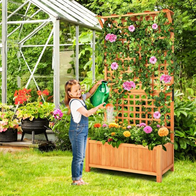 Raised Garden Bed with Trellis Indoor & Outdoor Wooden Planter Box（35.5"Lx17.5"Wx72.5"H）