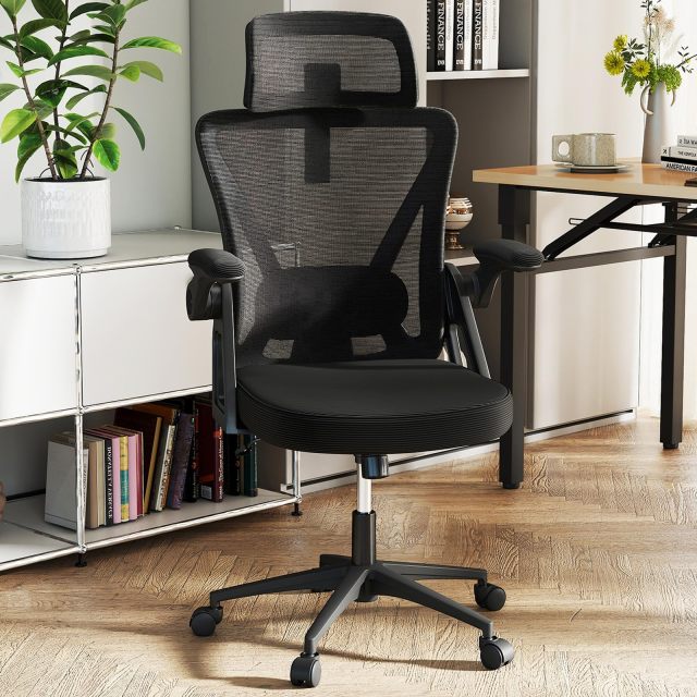 Ergonomic Mesh Office Chair for Home Office Study Room