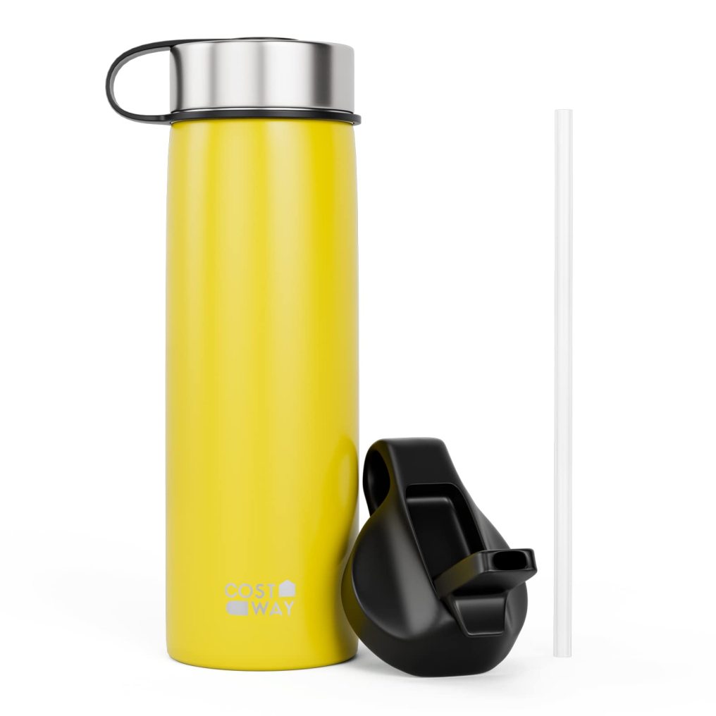 22 oz Insulated Water Bottle