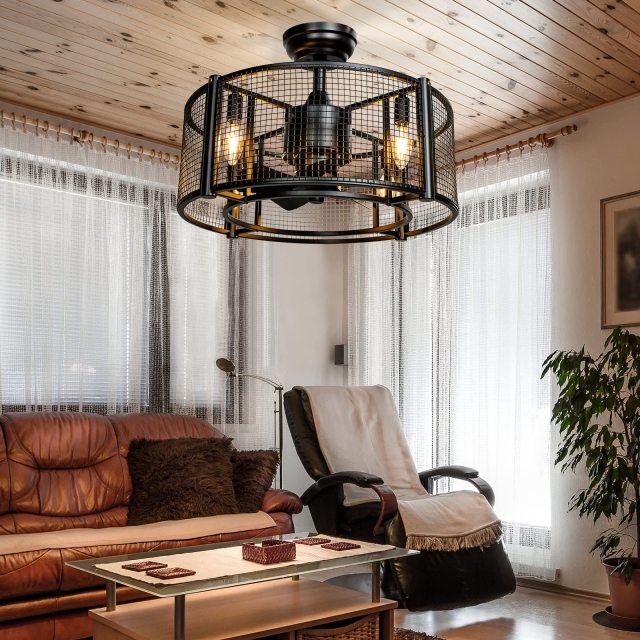 Caged Ceiling Fan with Light, 20 Inch Ceiling Fan Lights with Remote Control, Reversible Motor (No Bulb)