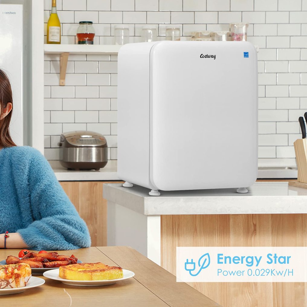 2.4 cu ft. Single Door Small Fridge with Auto Defrost Mini Fridge for Bedroom