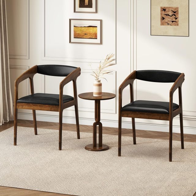 Dining Chairs with Arms Set of 2/4 for Living Dining Reading Room